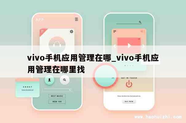 vivo手机应用管理在哪_vivo手机应用管理在哪里找