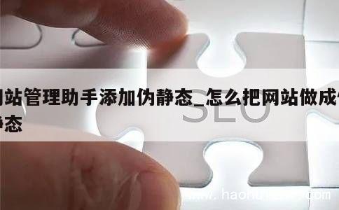 网站管理助手添加伪静态_怎么把网站做成伪静态