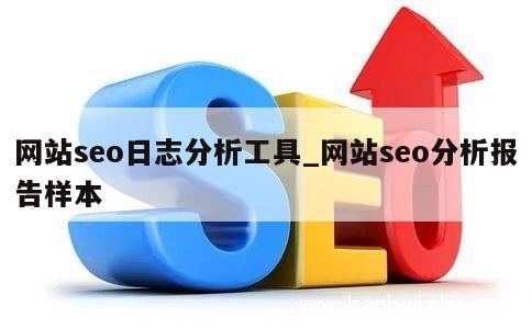 网站seo日志分析工具_网站seo分析报告样本