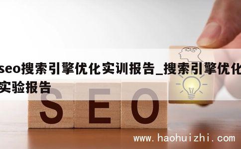 seo搜索引擎优化实训报告_搜索引擎优化实验报告