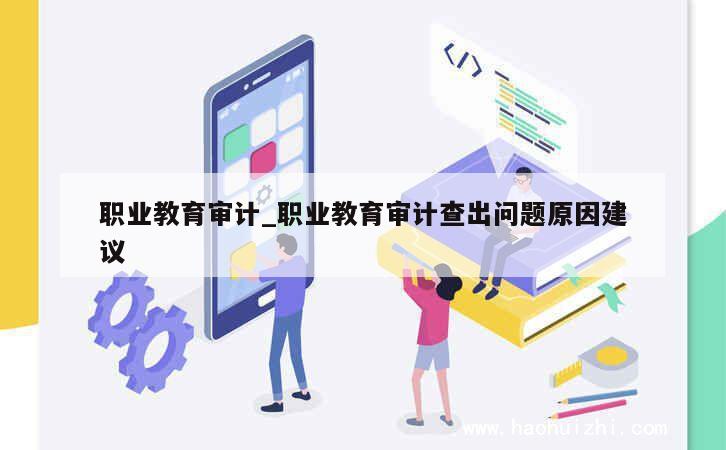 职业教育审计_职业教育审计查出问题原因建议