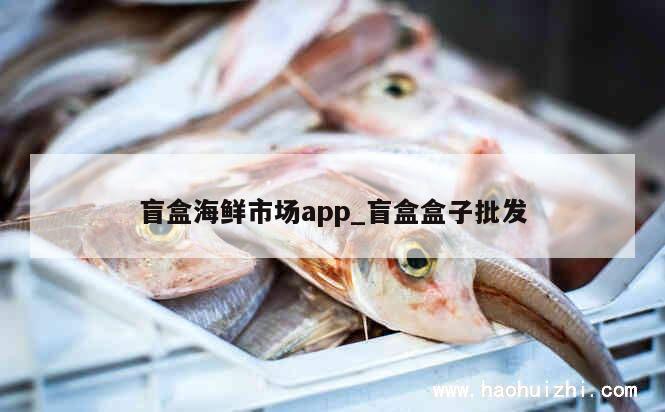 盲盒海鲜市场app_盲盒盒子批发