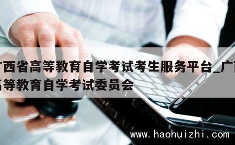 广西省高等教育自学考试考生服务平台_广西高等教育自学考试委员会