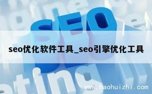 seo优化软件工具_seo引擎优化工具 第1张