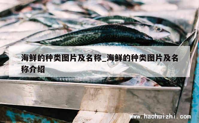 海鲜的种类图片及名称_海鲜的种类图片及名称介绍