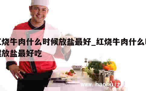 红烧牛肉什么时候放盐最好_红烧牛肉什么时候放盐最好吃