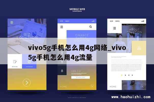 vivo5g手机怎么用4g网络_vivo5g手机怎么用4g流量