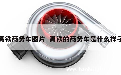 高铁商务车图片_高铁的商务车是什么样子