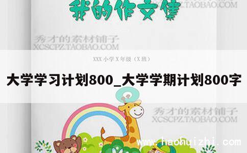 大学学习计划800_大学学期计划800字