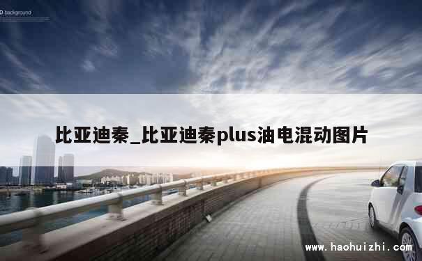 比亚迪秦_比亚迪秦plus油电混动图片