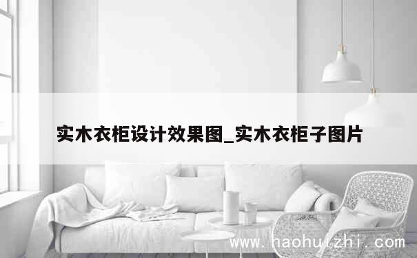 实木衣柜设计效果图_实木衣柜子图片 第1张