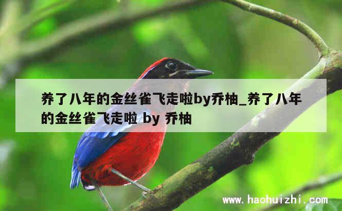 养了八年的金丝雀飞走啦by乔柚_养了八年的金丝雀飞走啦 by 乔柚