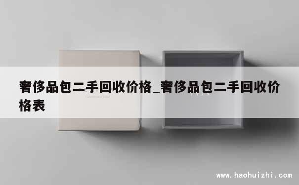 奢侈品包二手回收价格_奢侈品包二手回收价格表 第1张