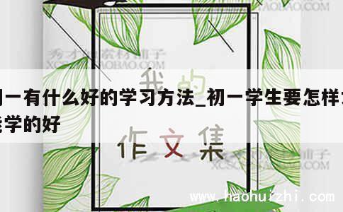 初一有什么好的学习方法_初一学生要怎样才能学的好