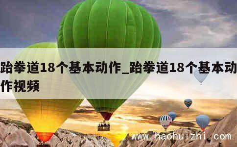 跆拳道18个基本动作_跆拳道18个基本动作视频