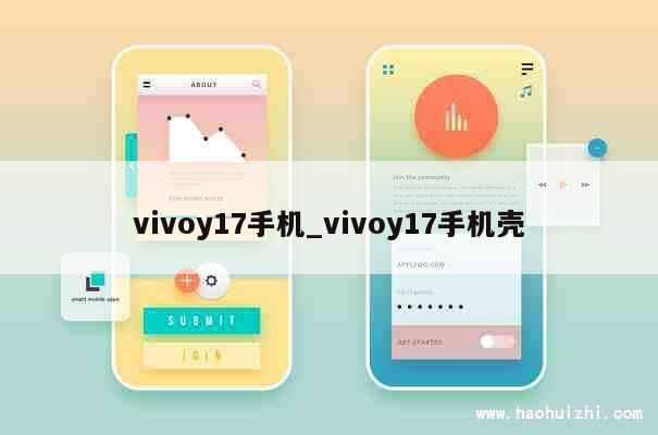 vivoy17手机_vivoy17手机壳