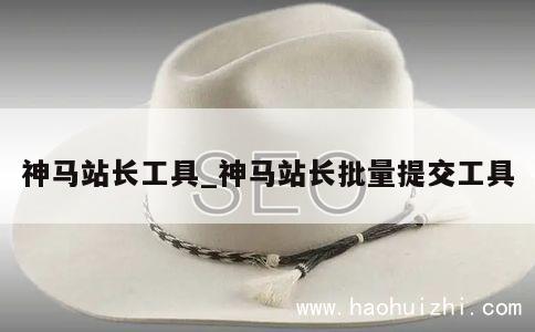 神马站长工具_神马站长批量提交工具