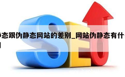 静态跟伪静态网站的差别_网站伪静态有什么用 第1张