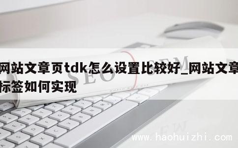 网站文章页tdk怎么设置比较好_网站文章标签如何实现