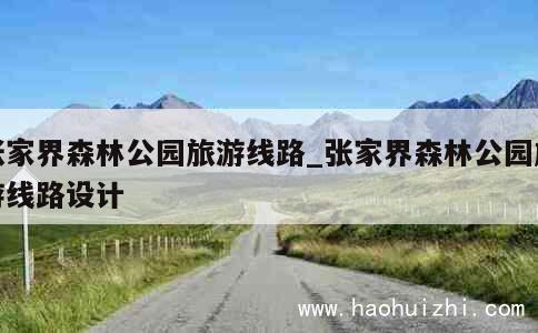 张家界森林公园旅游线路_张家界森林公园旅游线路设计