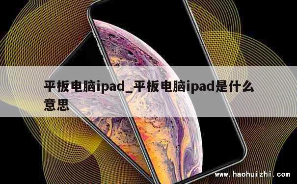 平板电脑ipad_平板电脑ipad是什么意思