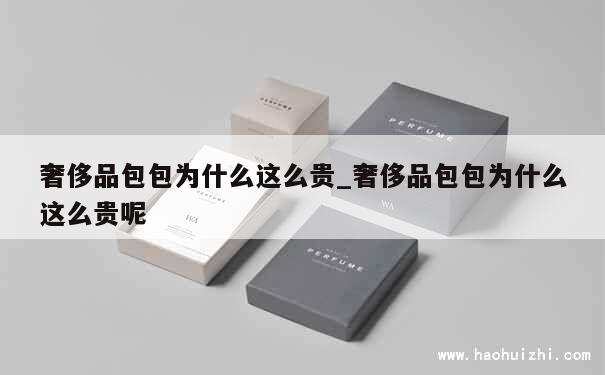 奢侈品包包为什么这么贵_奢侈品包包为什么这么贵呢 第1张