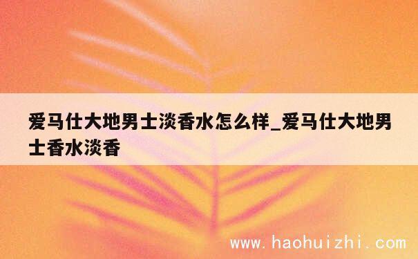 爱马仕大地男士淡香水怎么样_爱马仕大地男士香水淡香