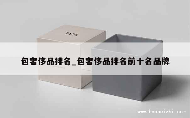 包奢侈品排名_包奢侈品排名前十名品牌