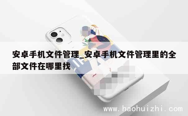 安卓手机文件管理_安卓手机文件管理里的全部文件在哪里找 第1张