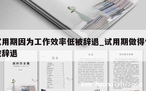 试用期因为工作效率低被辞退_试用期做得慢被辞退