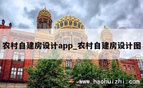 农村自建房设计app_农村自建房设计图