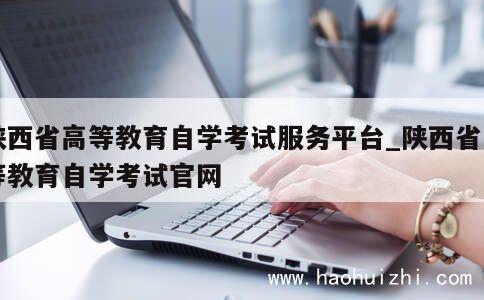 陕西省高等教育自学考试服务平台_陕西省高等教育自学考试官网 第1张