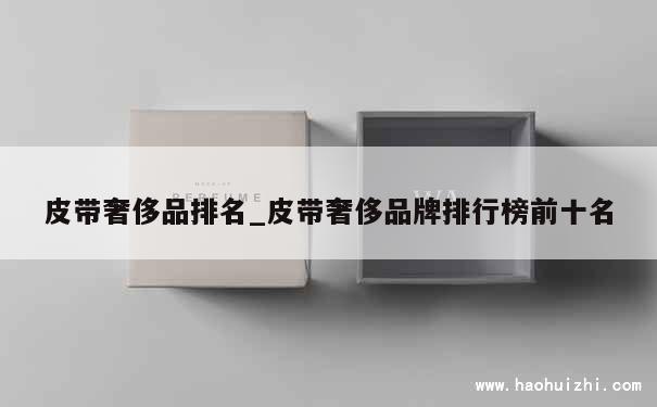 皮带奢侈品排名_皮带奢侈品牌排行榜前十名 第1张