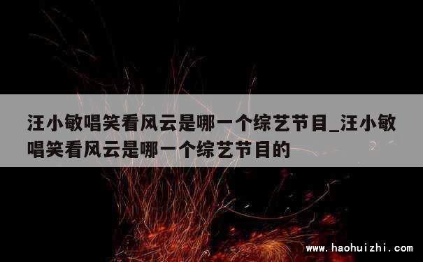 汪小敏唱笑看风云是哪一个综艺节目_汪小敏唱笑看风云是哪一个综艺节目的 第1张