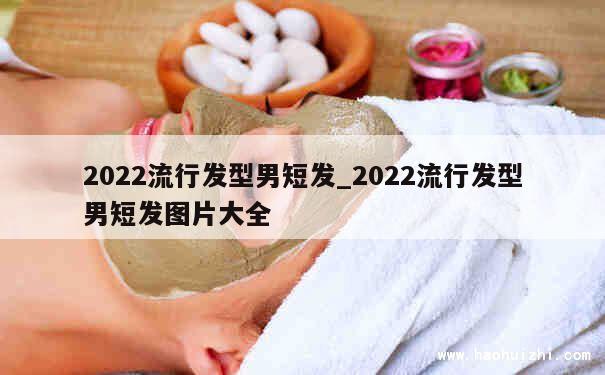 2022流行发型男短发_2022流行发型男短发图片大全 第1张