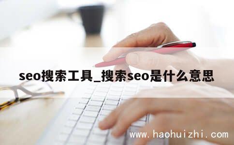 seo搜索工具_搜索seo是什么意思