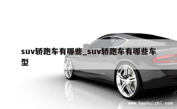 suv轿跑车有哪些_suv轿跑车有哪些车型 第1张