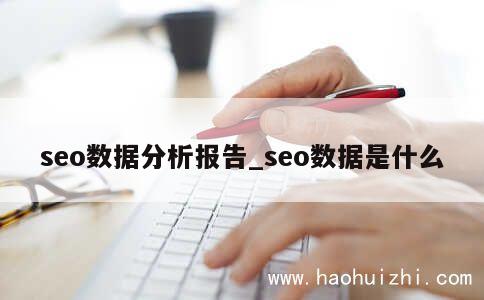 seo数据分析报告_seo数据是什么