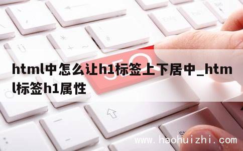 html中怎么让h1标签上下居中_html标签h1属性