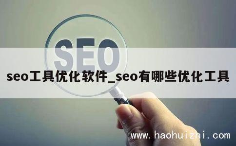 seo工具优化软件_seo有哪些优化工具