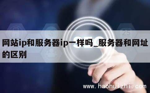 网站ip和服务器ip一样吗_服务器和网址的区别