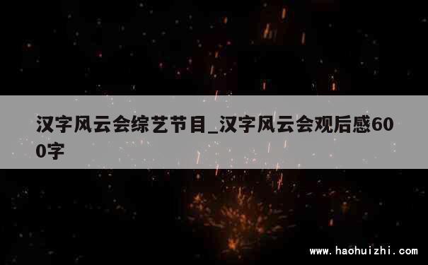 汉字风云会综艺节目_汉字风云会观后感600字