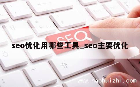 seo优化用哪些工具_seo主要优化 第1张