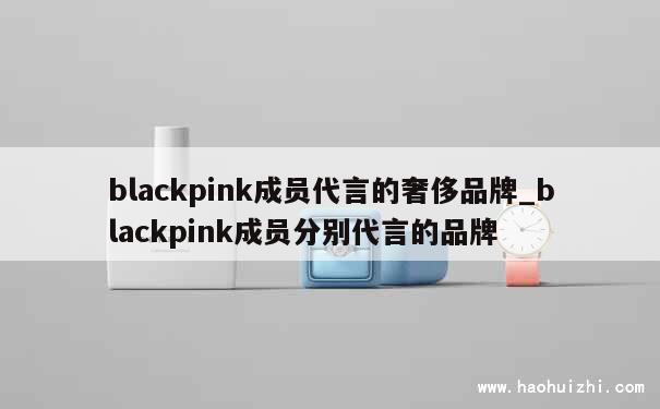 blackpink成员代言的奢侈品牌_blackpink成员分别代言的品牌 第1张