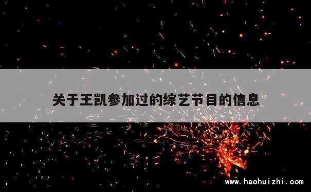 关于王凯参加过的综艺节目的信息