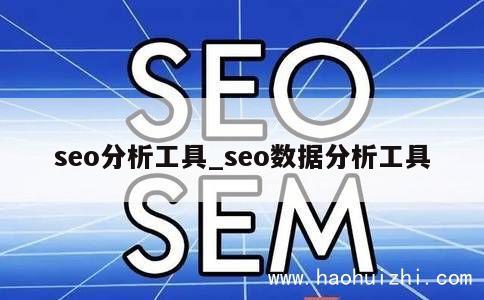 seo分析工具_seo数据分析工具 第1张