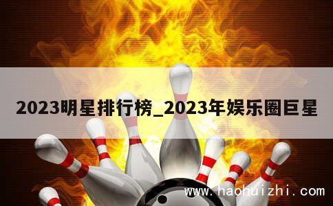 2023明星排行榜_2023年娱乐圈巨星