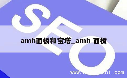 amh面板和宝塔_amh 面板