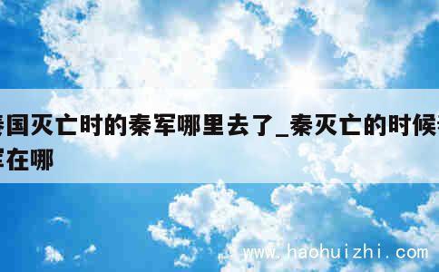 秦国灭亡时的秦军哪里去了_秦灭亡的时候秦军在哪