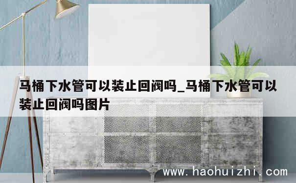 马桶下水管可以装止回阀吗_马桶下水管可以装止回阀吗图片 第1张